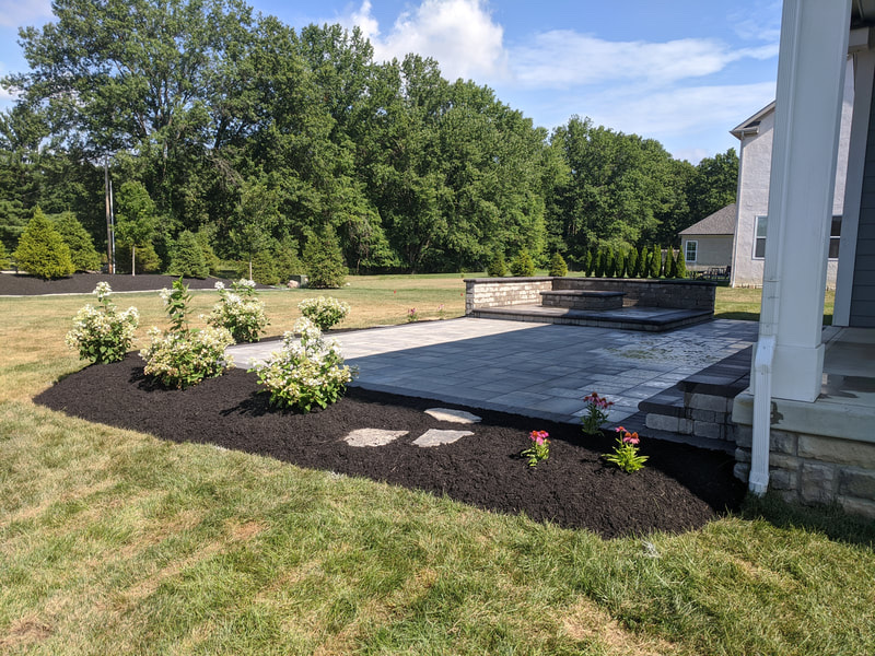 A residential front yard with mature shrub beds maintained by Summit